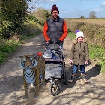 Tiger from Google Animals